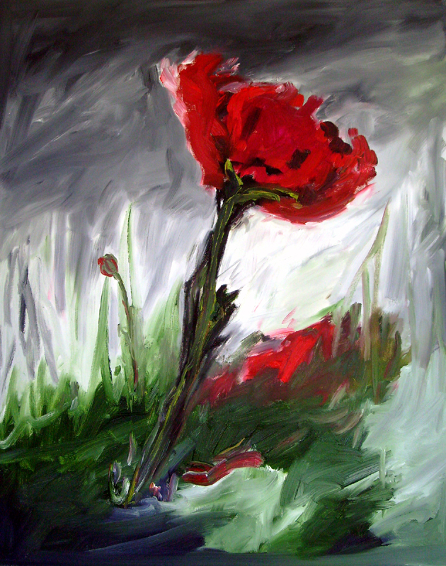 Mohnblume
